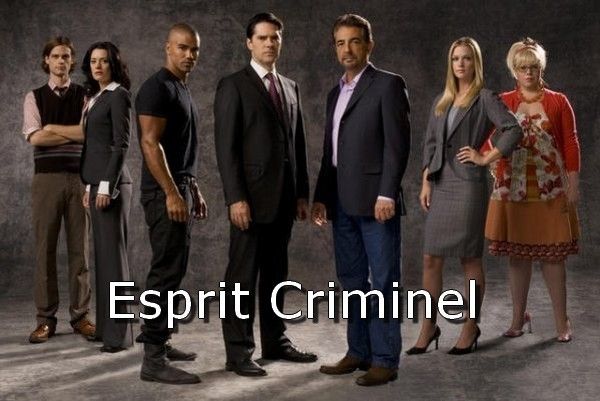 Esprit Criminel Saison 9 Vostfr